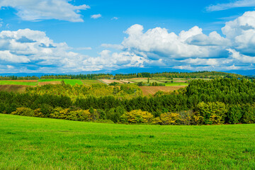 新栄の丘の風景（北海道・美瑛）｜ShineinoOka,Biei,Hokkaido