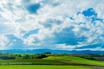 新栄の丘の風景（北海道・美瑛）｜ShineinoOka,Biei,Hokkaido