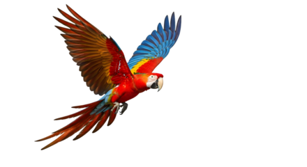 Vibrant red macaw in flight for tropical branding, nature themes, and lively designs
