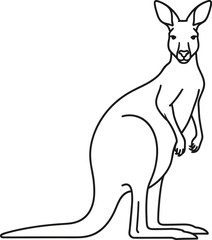 Line art sketch of a standing kangaroo facing forward ready for action flat design vector illustration isolated on transparent background