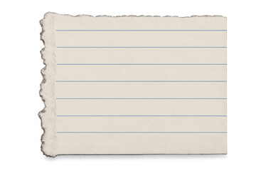 Torn piece of lined paper with ripped edges, blank note template displaying old texture and empty space for message content
