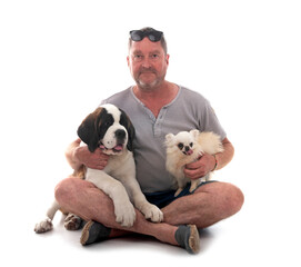 puppy saint bernard in studio