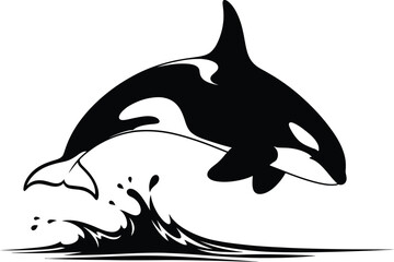 Dynamic orca whale leaping from water splashes black and white artistic design flat design vector illustration isolated on transparent background © rabbivay