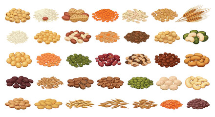 Assortment of various legumes grains and nuts displayed on a white background in a organized manner