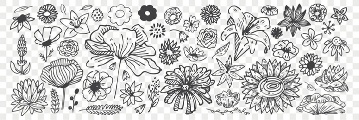 Floral sketch collection black and white
