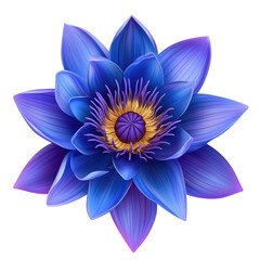 Vivid blue flower with gold center on black background