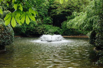Fontaine dans un bassin du parc de Vichy. Ambiance calme et relaxante dans un parc avec un jet d'eau.
