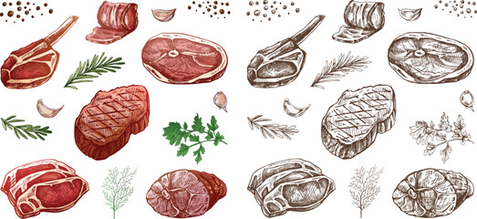 Assorted raw meat cuts with herbs on black