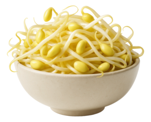 Oat-based energy bites in a small, transparent box, highlighting their round shape and speckled appearance.