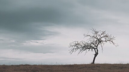 Minimalist landscape photo of a single bare tree under overcast sky, soft desaturated light, symbol of solitude and emotional emptiness