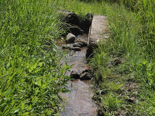A narrow stream of water flowing through an unpaved or partially concrete-lined ditch, surrounded...