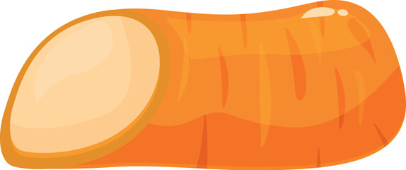 Freshly cut carrot root vegetable showing a cross section, isolated on white background