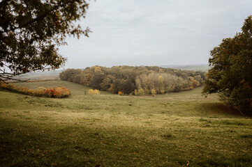 Fototapeta premium Scenic autumn view of a vast countryside featuring hills, grazing animal and a moody sky, showcasing natural beauty and tranquility.