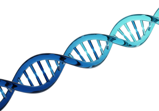 Blue DNA molecule isolated on transparent background PNG, genetic code structure for science and medical research