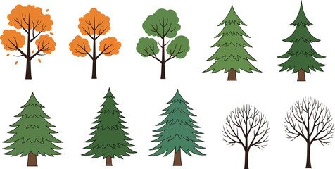 Obraz premium Collection of Diverse Trees: Autumn, Evergreen, and Bare Winter Styles, Isolated on White Background - Vector Illustration