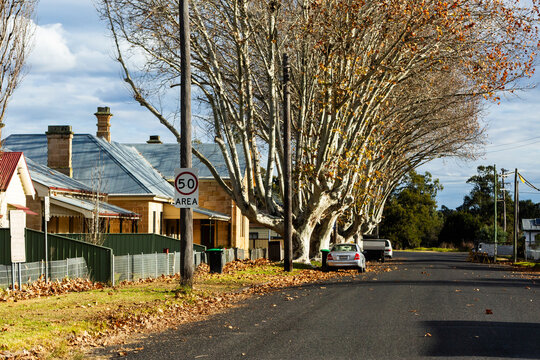 50 area in quiet village in winter with cars parked on streetside by homes in Cassilis