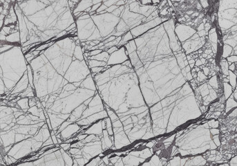 Obraz premium White marble surface with intricate gray and black veining texture for interior design and architectural use