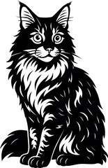 Elegant Maine Coon cat shown with intricate fur