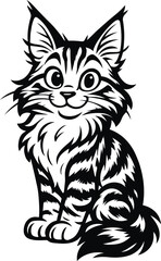 Lovely American Longhair Maine Coon kitten