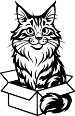 Maine Coon cat is sitting in an open cardboard box