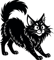 Majestic Maine Coon cat arched back stretching