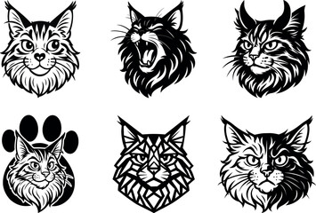 Majestic Maine Coon cat head in multiple poses