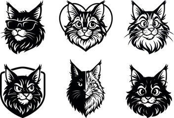 Fototapeta premium Regal Maine Coon cat head in different poses