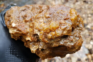 Rough flint and shiny chalcedony specimen, freshly unearthed. Its bubbly textures glisten with moisture, revealing natural beauty found outdoors