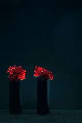 Still life with bunches of red viburnum on black bottles