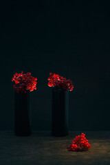 Still life with bunches of red viburnum on black bottles