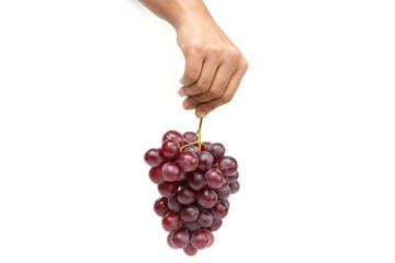 Bunch of Grapes Hand hanging on white background.