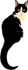 Black and white cat. Pet cat. Vector illustration.