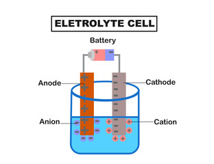 Electrolysis processes. Electrolyte cell.Cathode and anode, anions, cations.electrolytic cell.Infograhic or diagram.Science or chemical.Labeled educational experiment.Vector illustration.