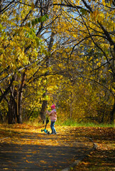 Fototapeta premium Child girl having fun outdoors. Riding push scooter in autumnal park, countryside. Active healthy lifestyle. Remote location. Beautiful colorful October