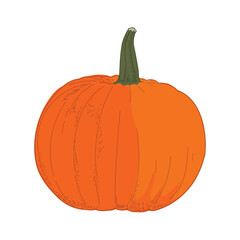 pumpkin isolated on white background