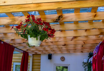 Potted flowers are hanging on the ceiling on the veranda.