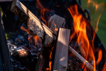 Burning wood in a campfire close-up.