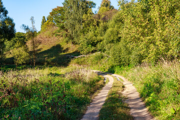 Winding country trail snakes through abundant green foliage, ascending a sunny, tree-covered hillside. A calm, inviting outdoor adventure awaits