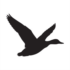 Black-headed gull isolated vector illustration of a flying pigeon silhouette with wings in flight