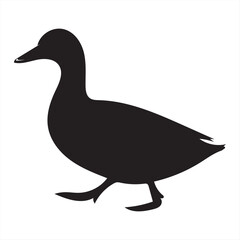 Mallard duck standing, isolated on a white background, featuring the animal's silhouette and feathers, a perfect vector illustration of this waterfowl bird