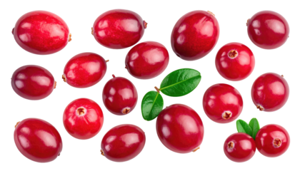 Scattered cranberries and green leaves on a black background offer a vibrant, fresh, and natural aesthetic