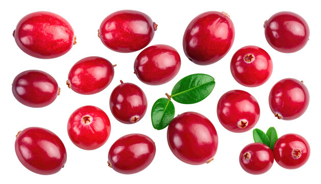 Scattered cranberries and green leaves on a black background offer a vibrant, fresh, and natural aesthetic