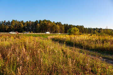 Obraz premium Lush meadow of tall grasses right next to a bustling highway, cars whizzing by a forest line. Nature's calm meets urban commute