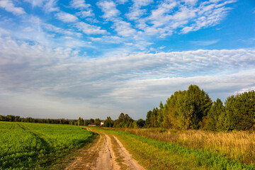 Obraz premium Winding dirt road through a vibrant green field and forest under a partly cloudy sky. Peaceful rural scene, tranquil summer day vibe