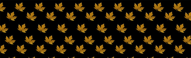 Fototapeta premium golden maple leaf pattern on a black background,