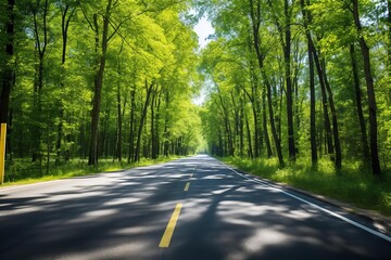 Scenic route through lush green trees creating a tunnel of foliage on a sunny summer day