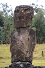 Single moai of the Ahu Akivi, the seven scouts from Easter Island-Ahu Akivi is a special sacred place on Rapa Nui Chile, overlooking the Pacific Ocean
