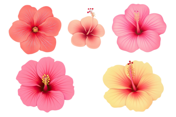 Five isolated, vibrant hibiscus blooms on a black field