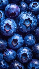 Plump blueberries covered in dew