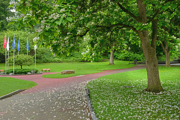 Fototapety na wymiar - Fototapeta24.pl